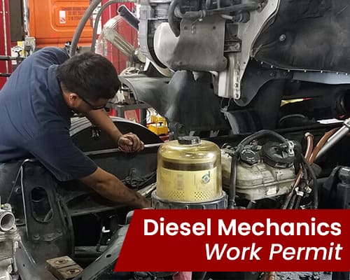 Canada diesel mechanics work permit