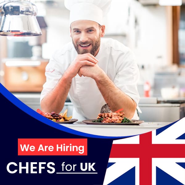 Cook chef jobs UK